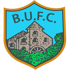 Ballynahinch United FC